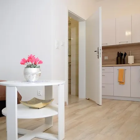 Apartment Mysliwska - Biznes Koszalin