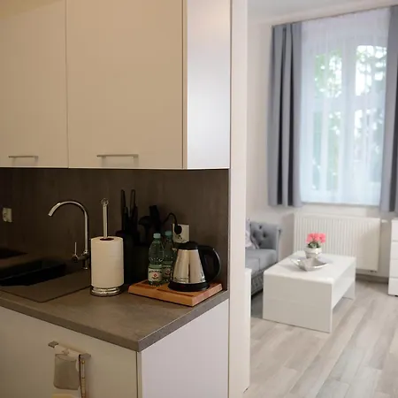 Appartement Mysliwska - Biznes