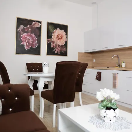 Appartement Mysliwska - Biznes