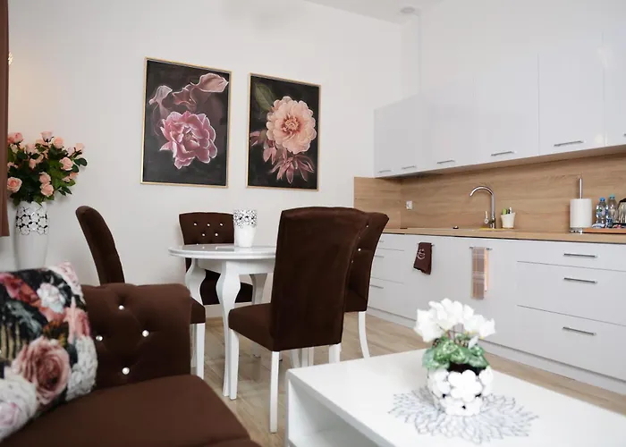 Апартаменты Mysliwska - Biznes